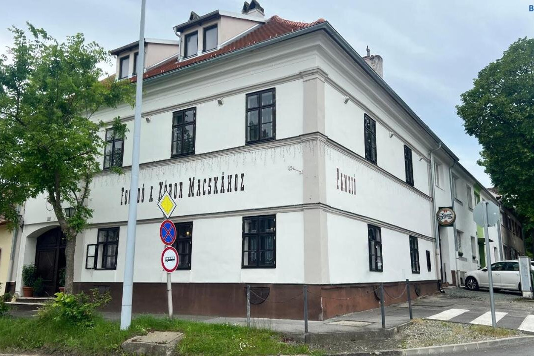 Fogadó a Kóbor Macskához
