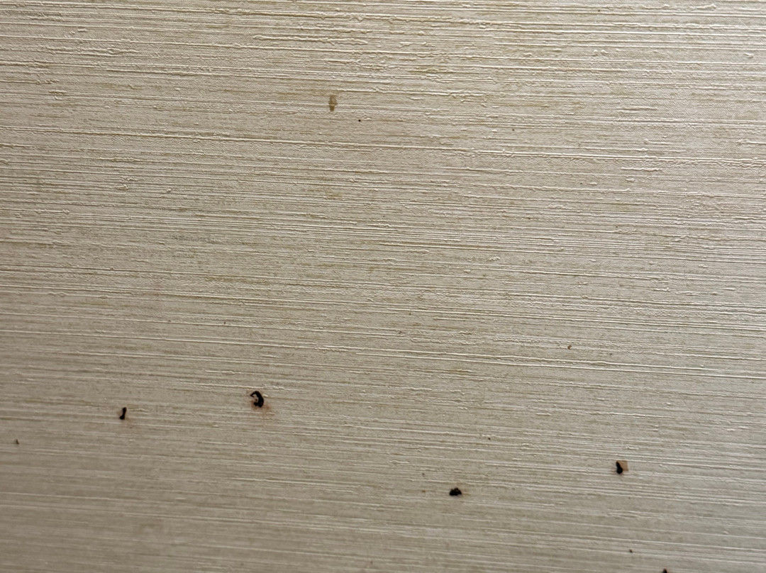 奥兰治郡机场拉昆塔温德姆套房酒店主图