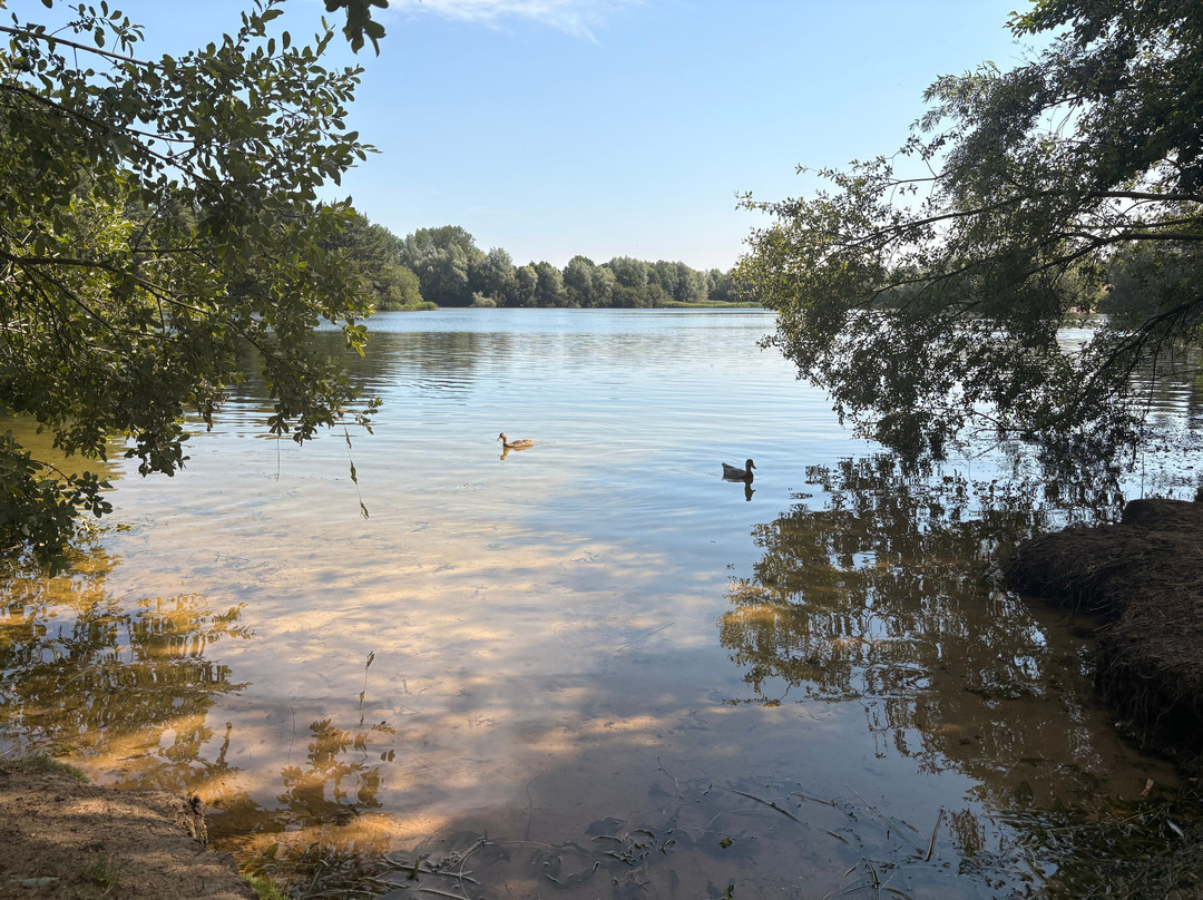 Fendick's Fishery