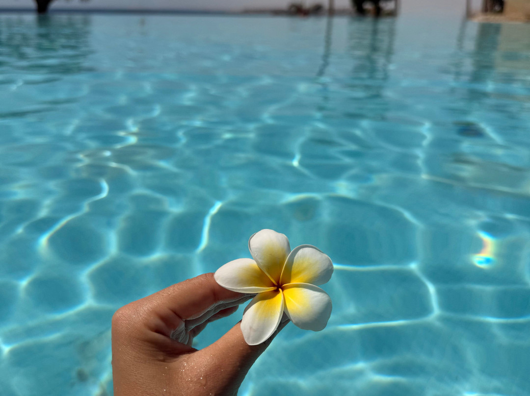 The Makadi Spa Hotel主图