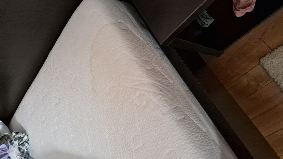 Hotel Vila Roca-旅行者