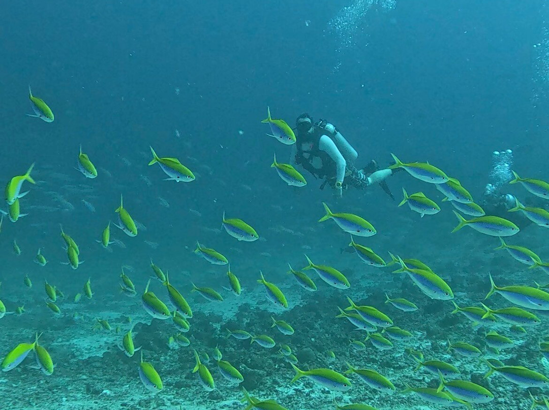 Euro-Divers Eri Maldives-马累北环礁必去景点