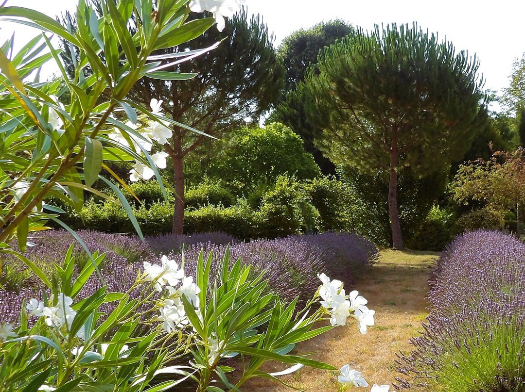 Les jardins du Coq-Montignac-le-Coq必去景点