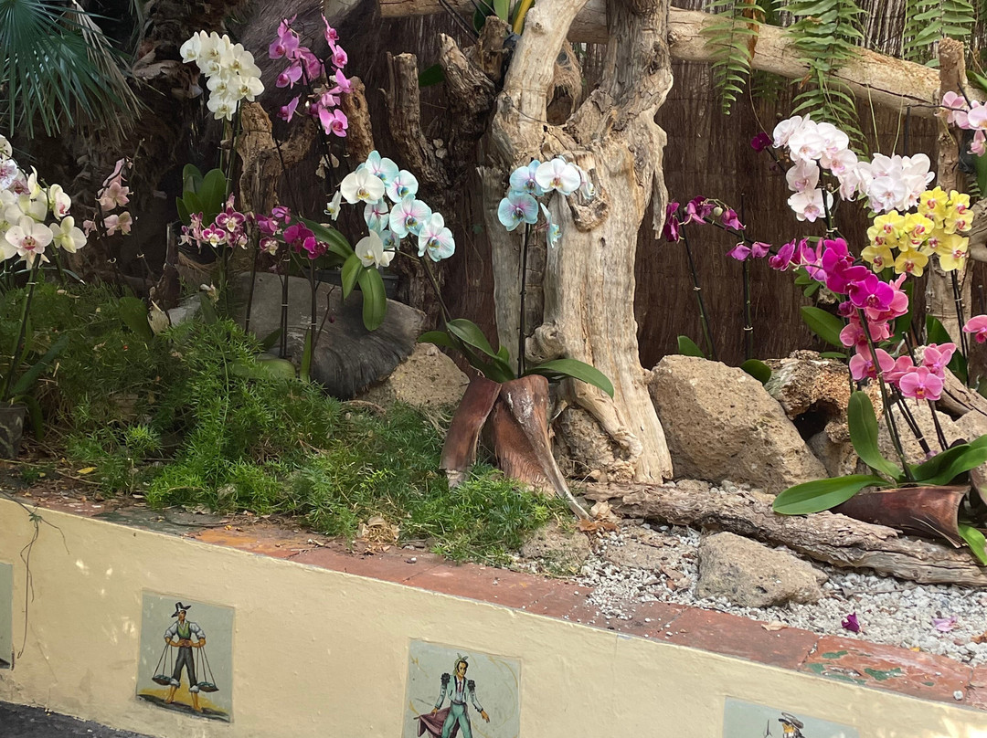 Jardin de Orquideas de Sitio Litre-德拉克鲁兹索尔港必去景点