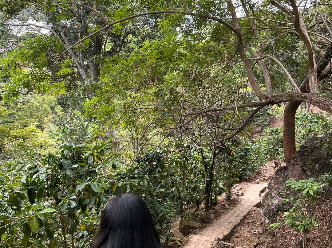 Hacienda La Chimba-圣安娜必去景点