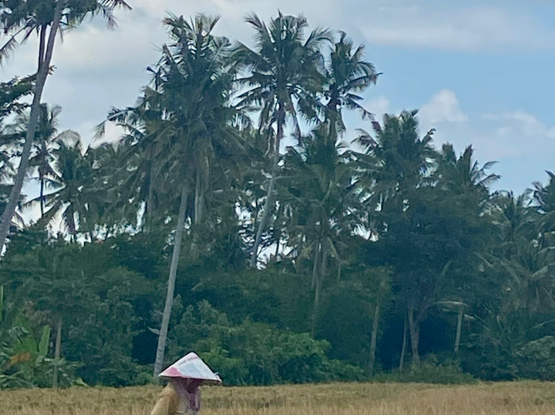 Bali Guia en Espanol-Mas必去景点