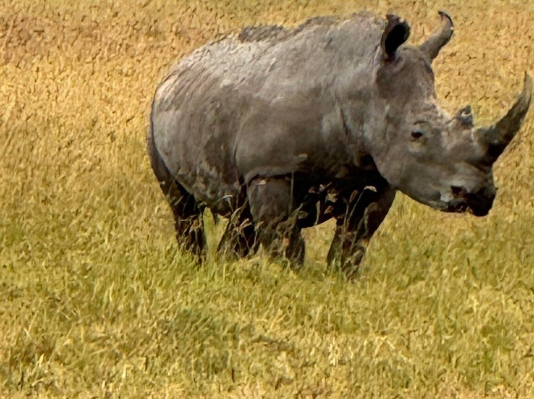 Safaris-R-Us-阿鲁沙必去景点