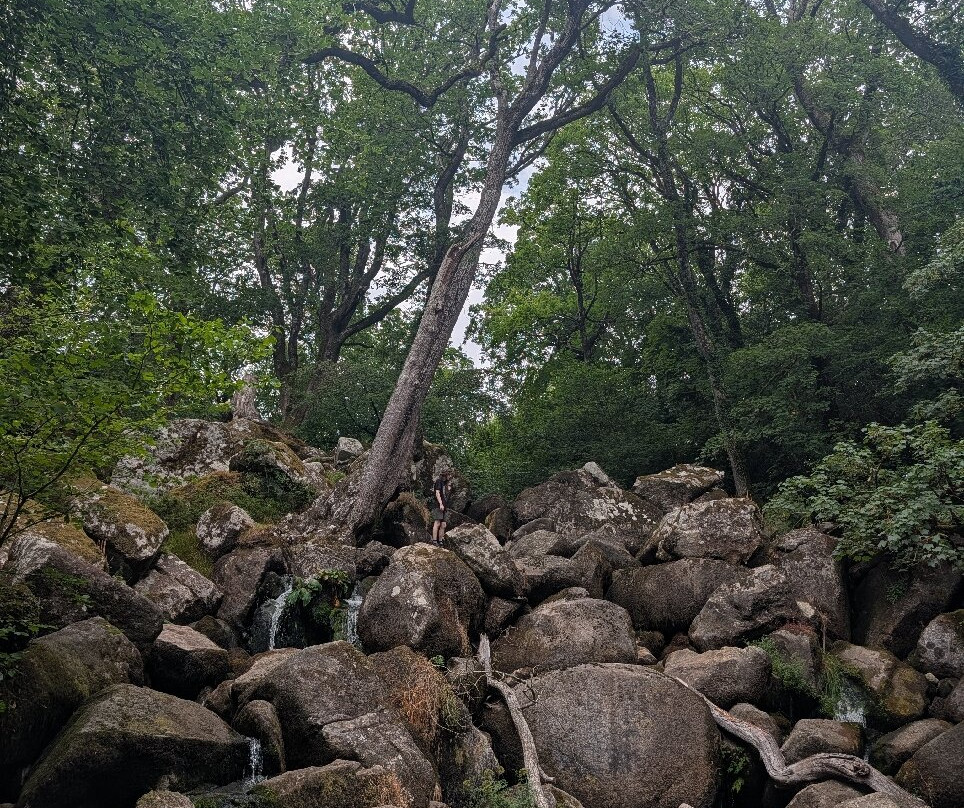 Becky Falls-Manaton必去景点
