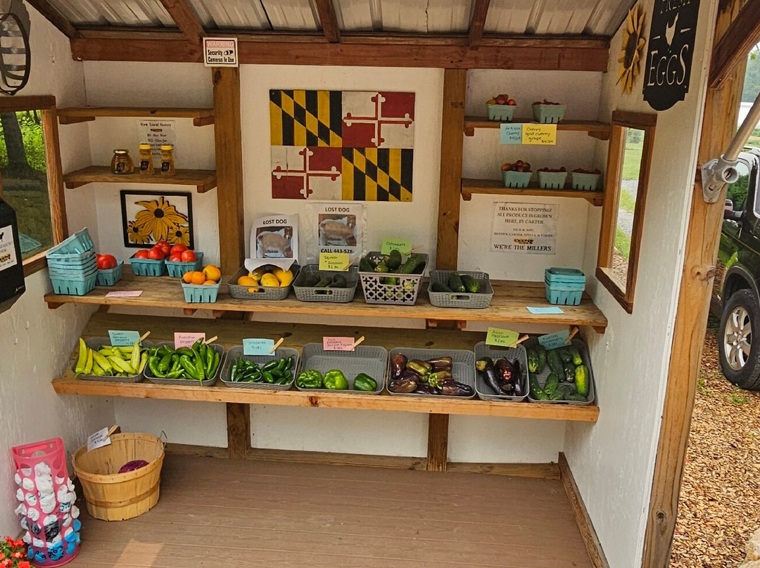 Kent Meadows Farm-Havre de Grace必去景点