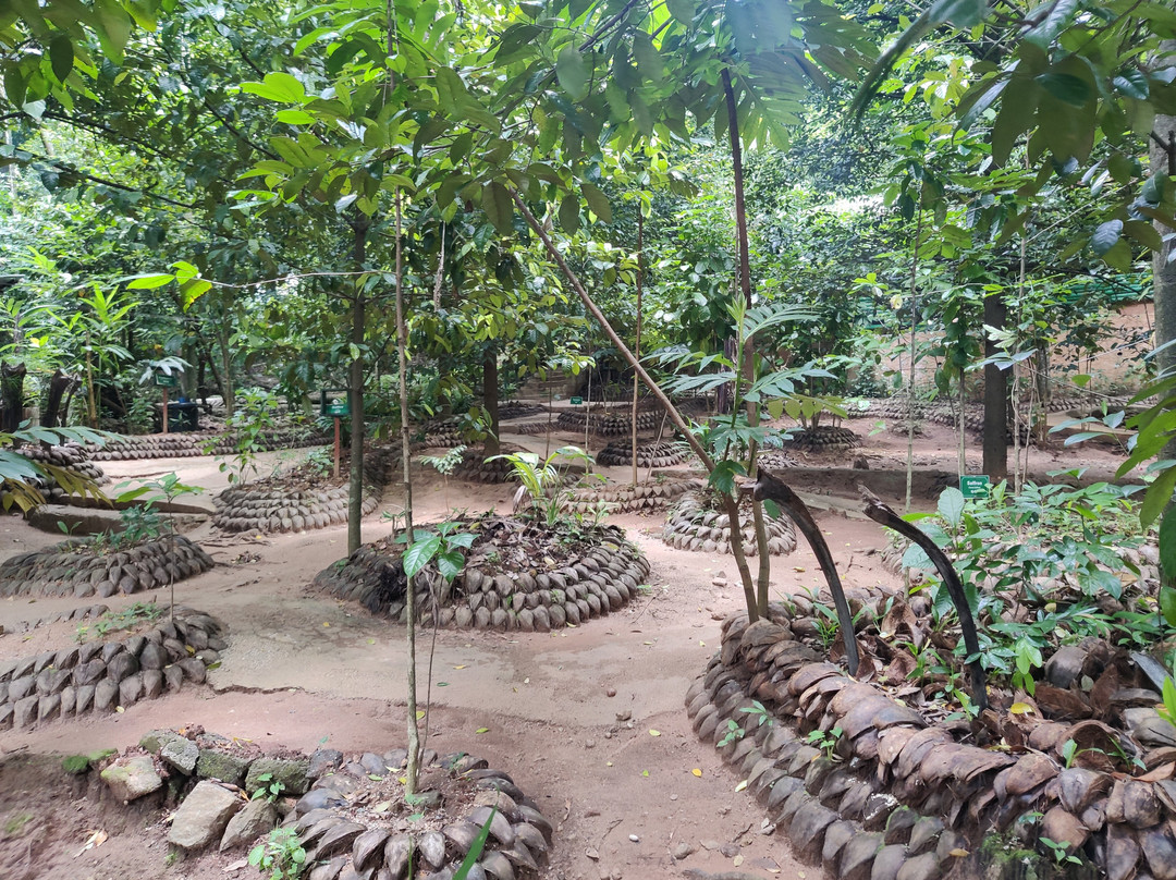 Kandy Spice Walk-康提必去景点