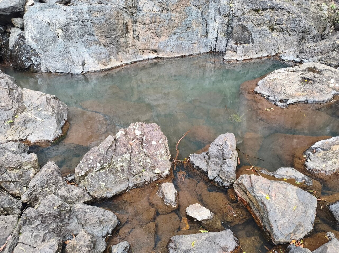 Purling Brook Falls-春之泉必去景点