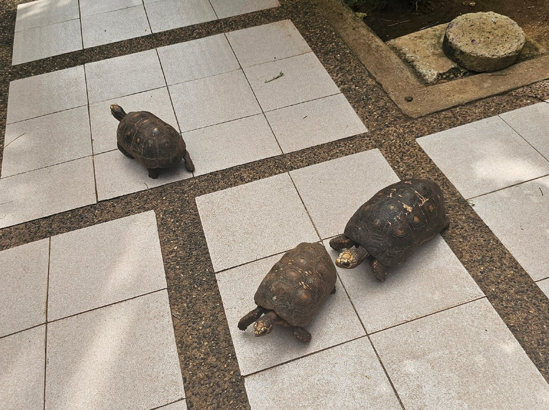 Island House Museum-圣安德烈斯岛必去景点