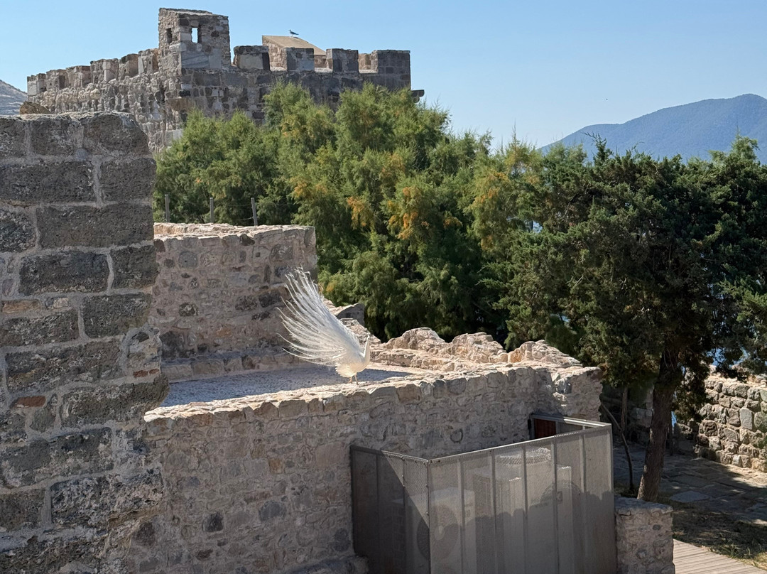 Bodrum Castle-博德鲁姆必去景点