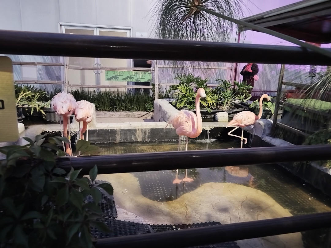 Acuario Michin Puebla-普埃布拉必去景点
