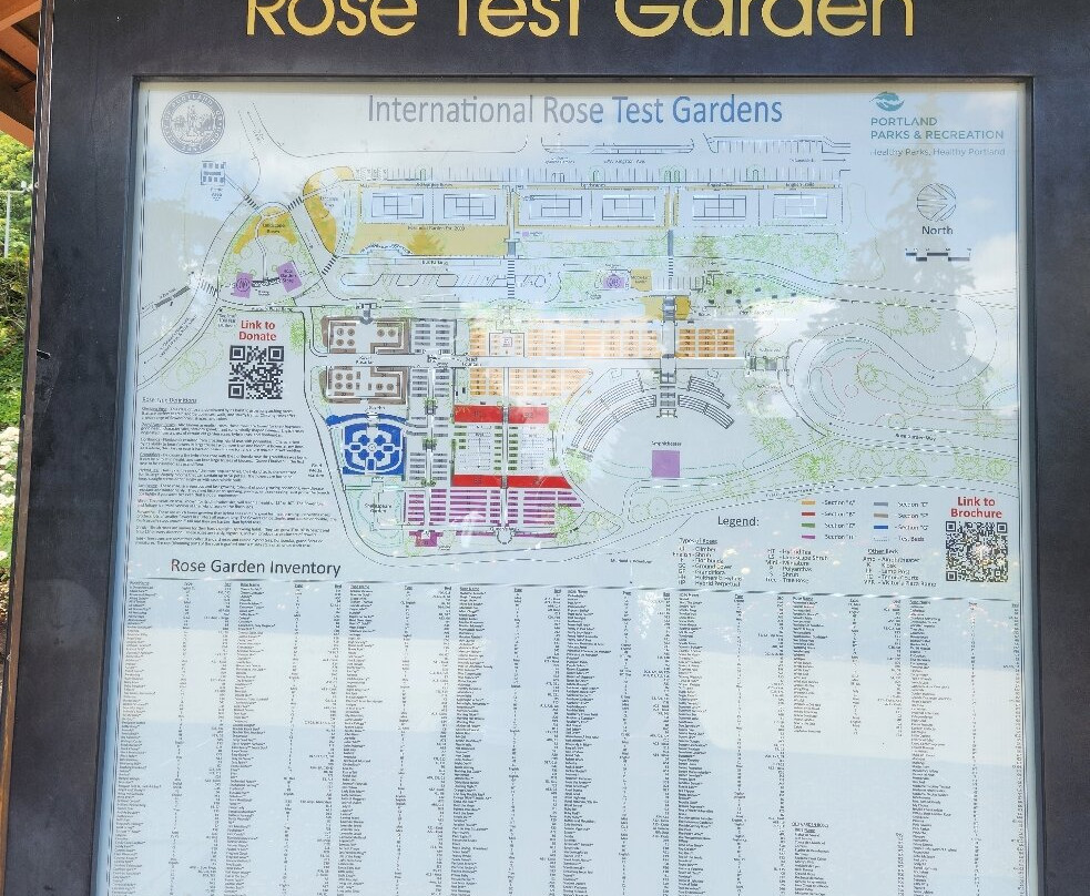 国际玫瑰试验园-波特兰必去景点