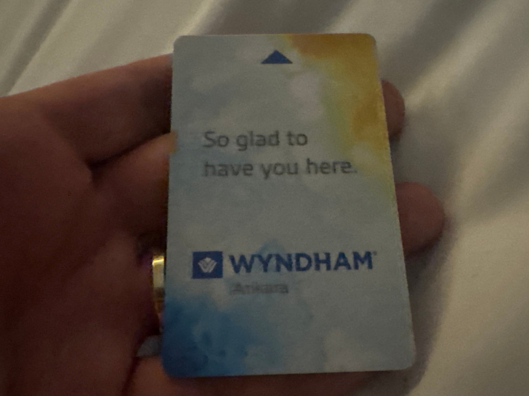 Wyndham Ankara主图