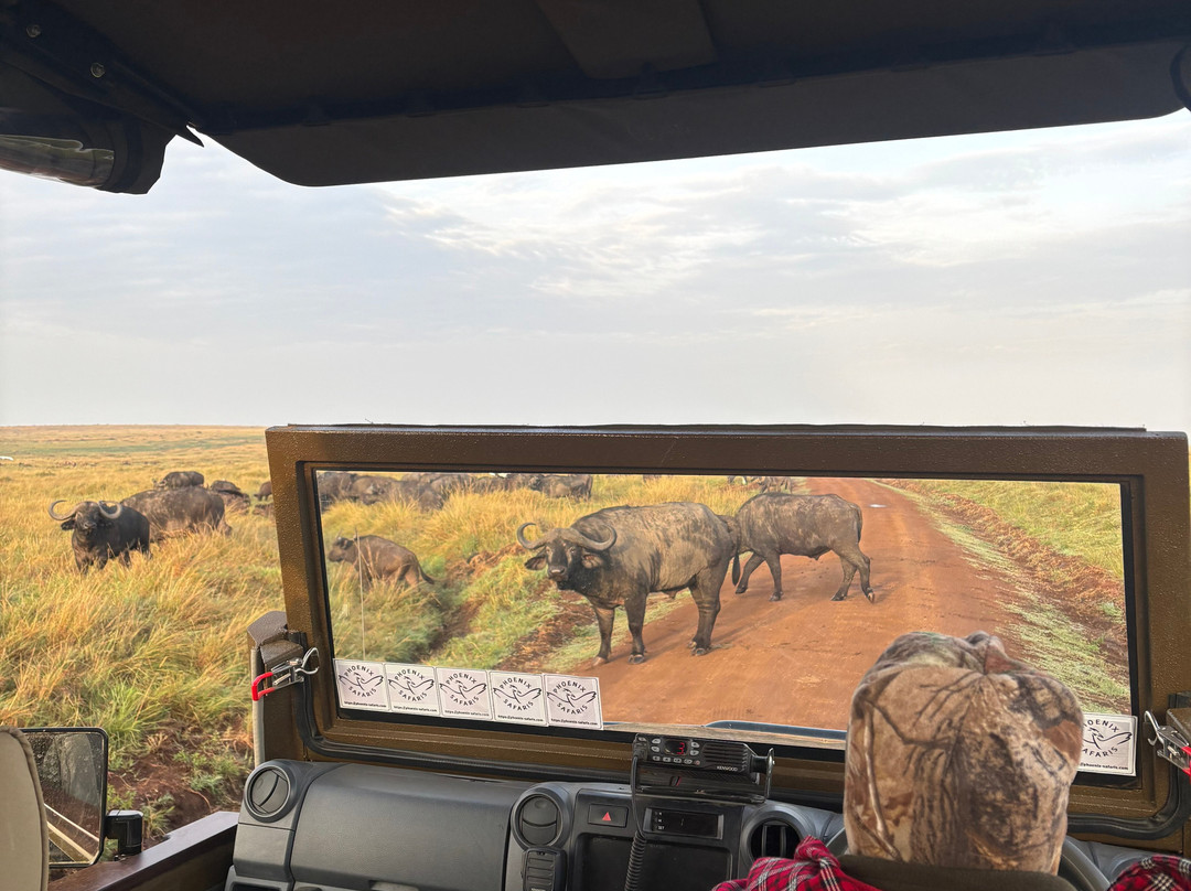 Mara Siria Tented Camp & Cottages主图
