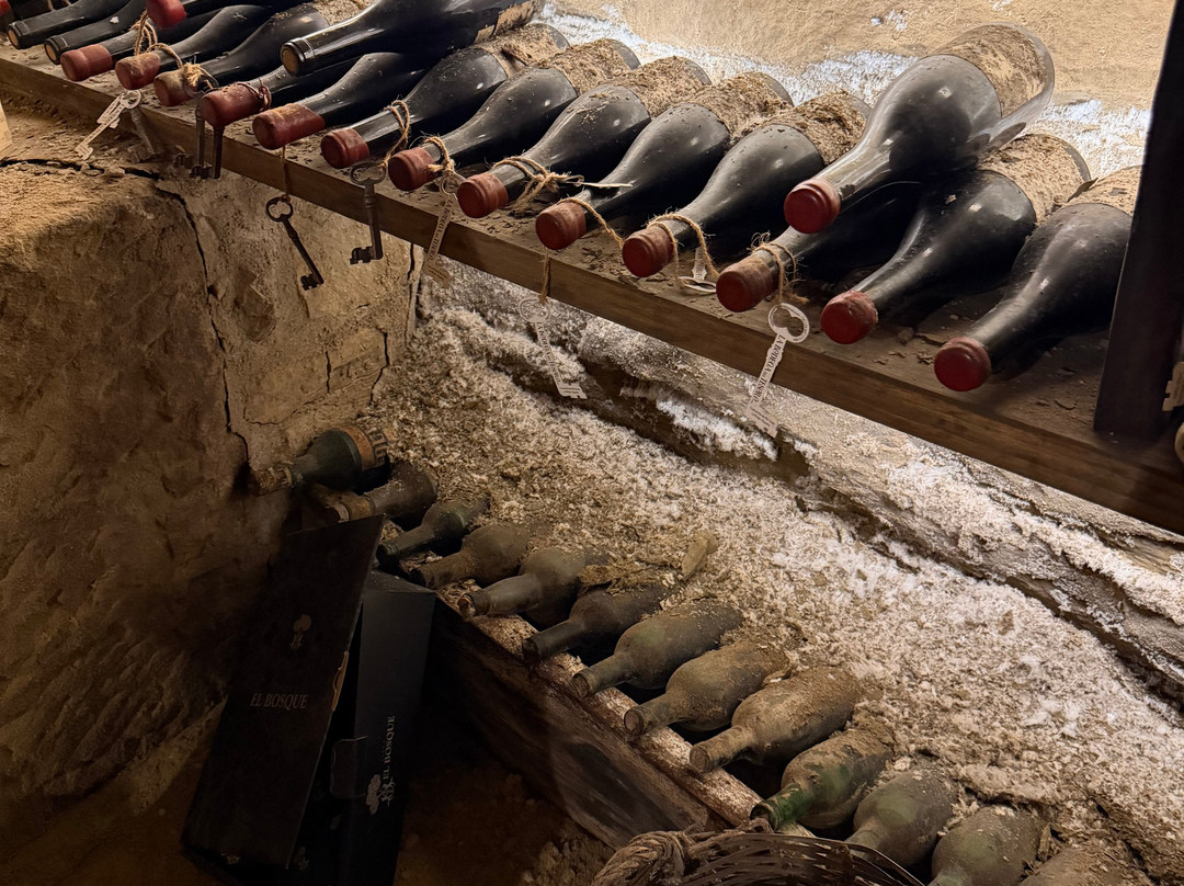 La Bodega del Tesoro-Cuzcurrita de Rio Tiron必去景点