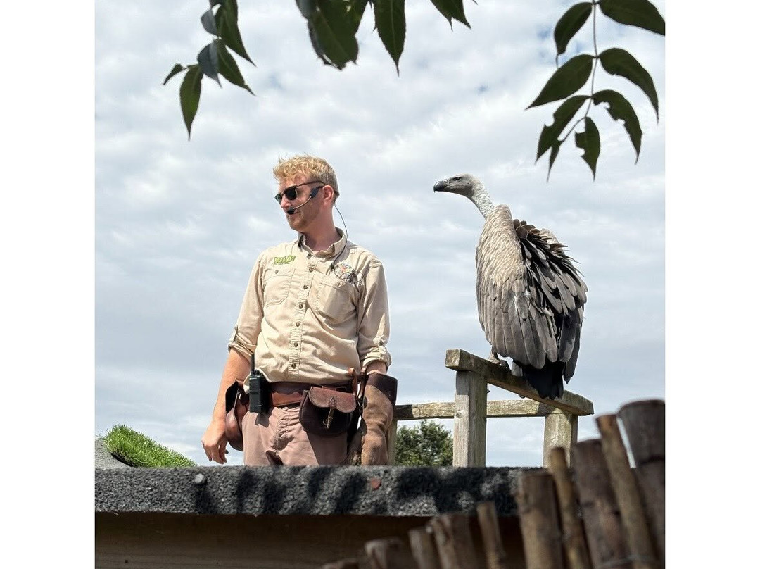 Wild Zoological Park-Bobbington必去景点
