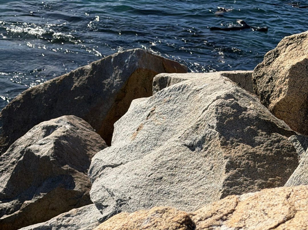 Seal Rocks-纳鲁马必去景点