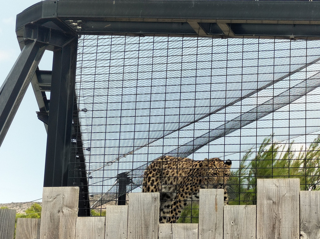 EcoZonia - Parc Animalier-Cases de Pene必去景点