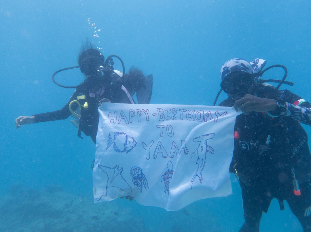 Addu Scuba Dive Maldives-阿斯杜太阳岛必去景点
