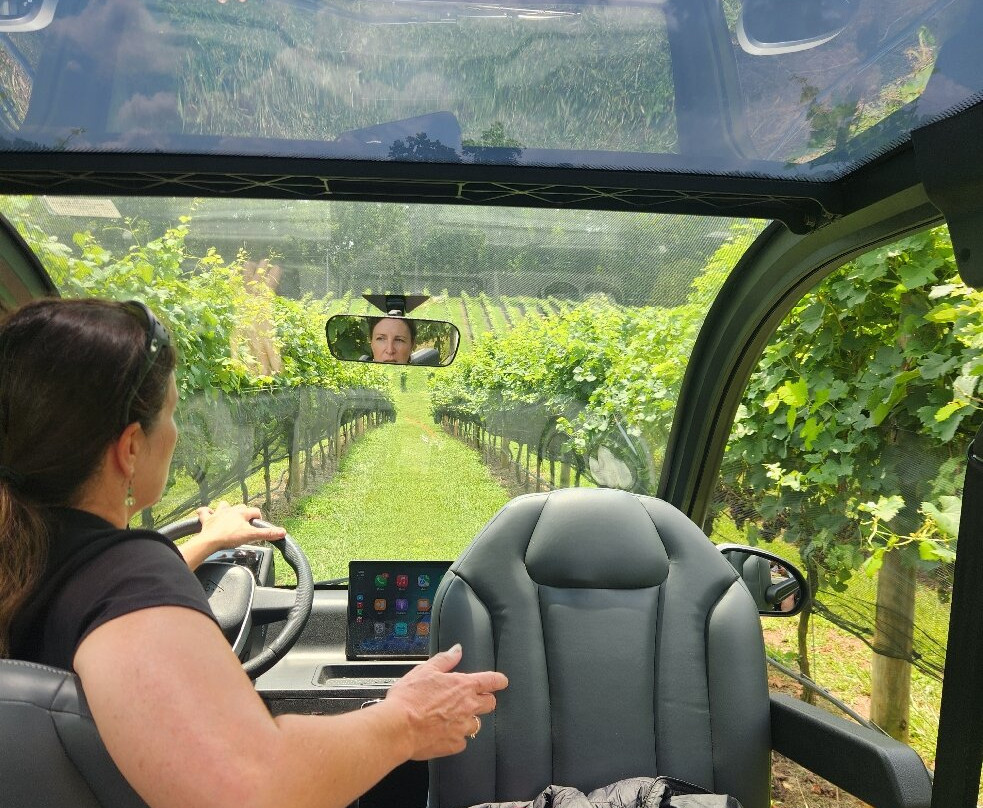 Roo Mountain Vineyards and Bistro 21+-Ellijay必去景点