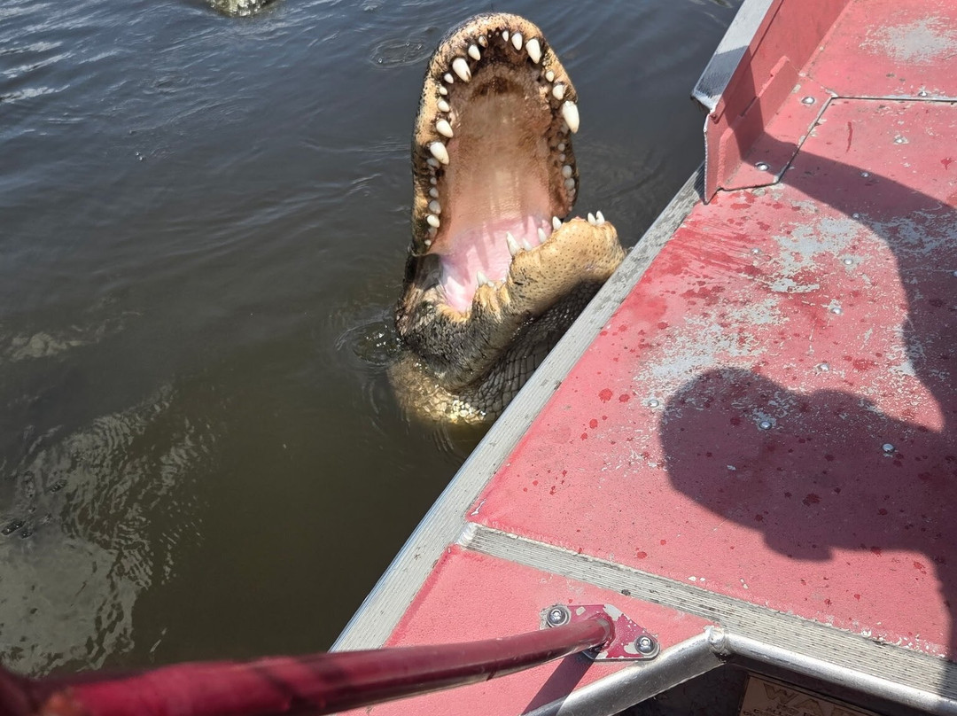 New Orleans Airboat Tours-Marrero必去景点