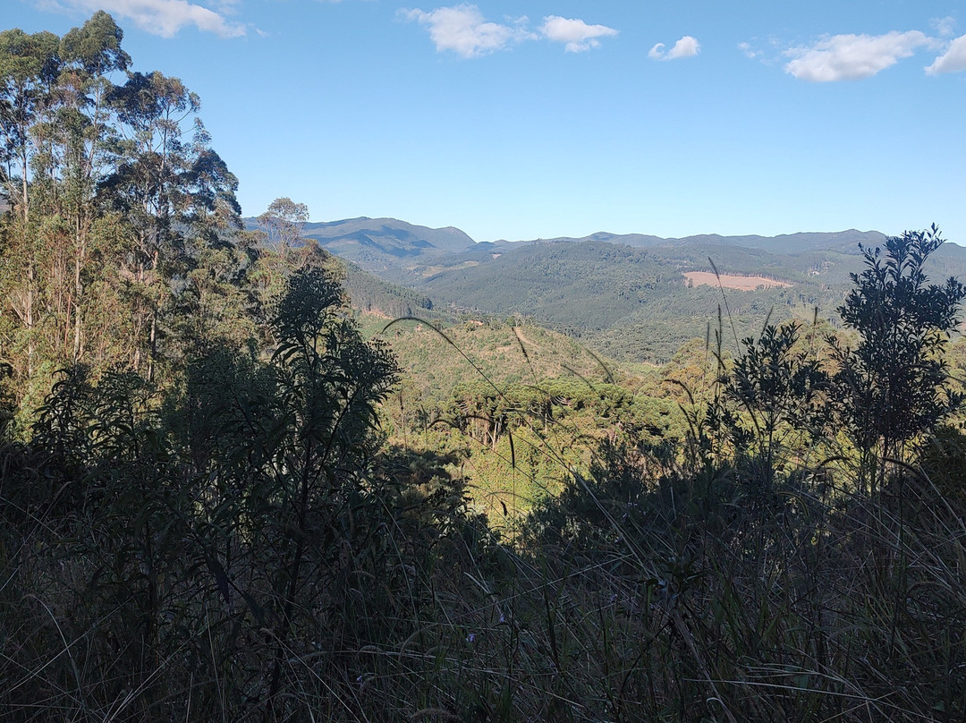 Araukaria Brazil - Monte Verde-蒙特贝尔德必去景点