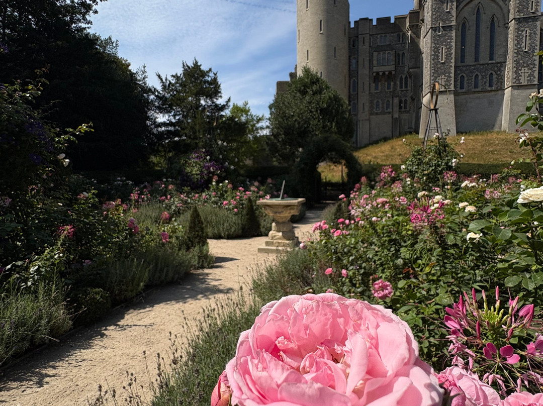 Arundel Castle-阿伦德尔必去景点