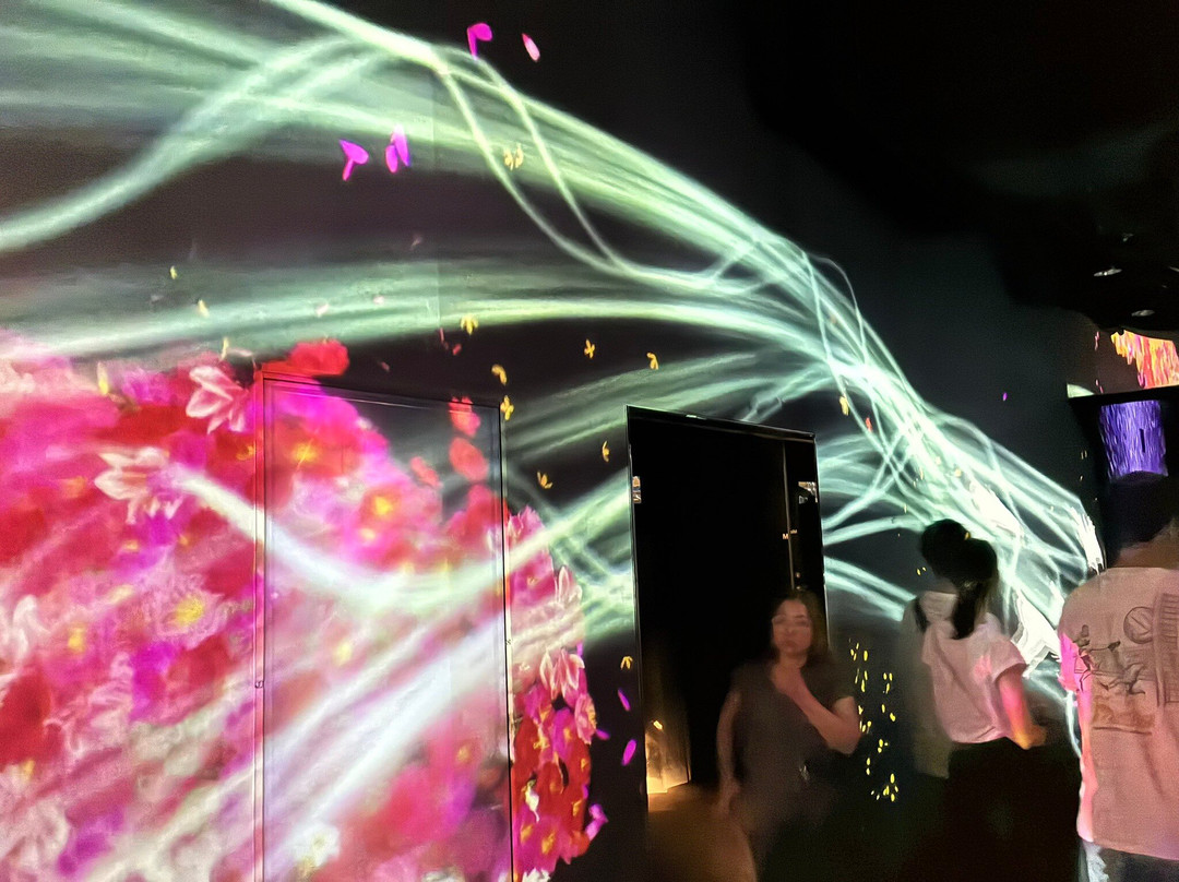 Teamlab Borderless Tokyo-港区必去景点