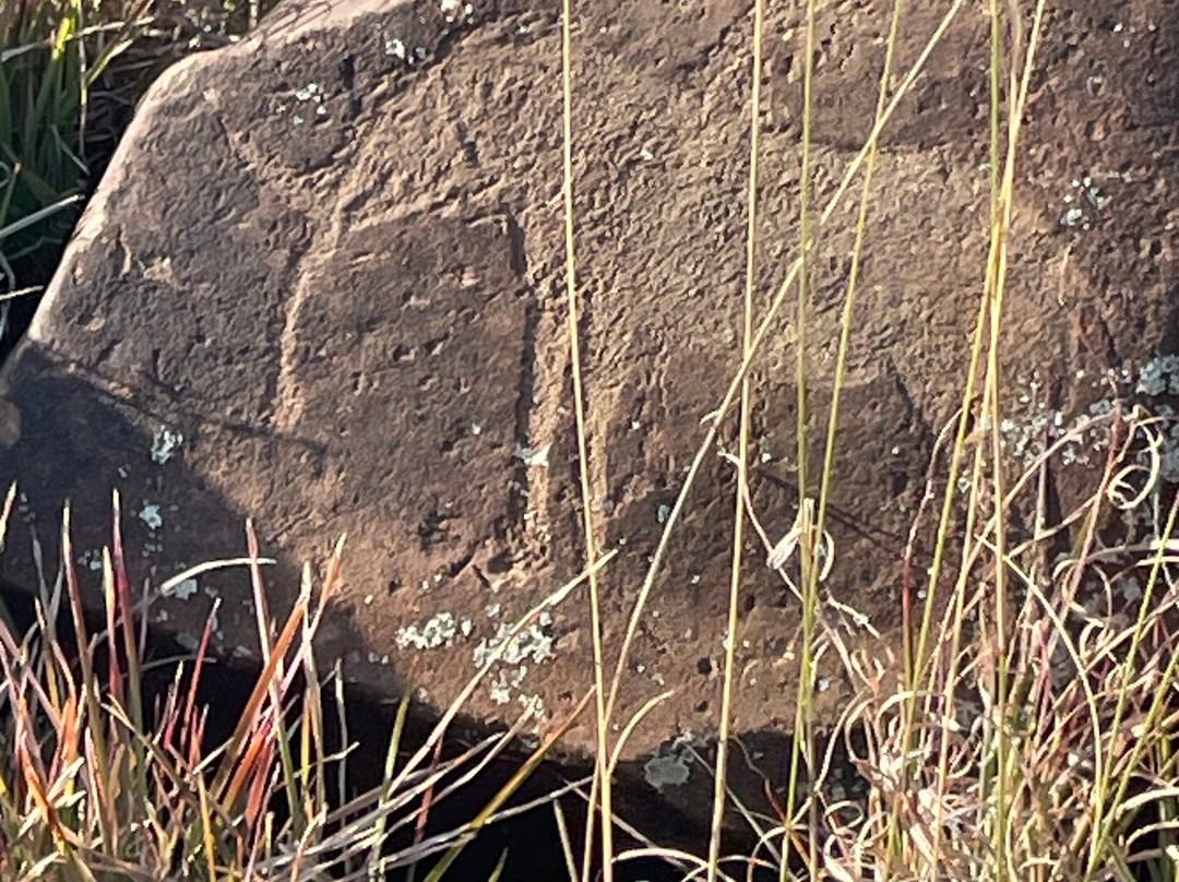 Wildebeest Kuil Rock Art Centre-金伯利必去景点