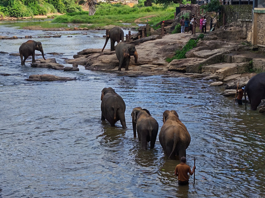 Ride Lanka Tours & Travels-Minuwangoda必去景点