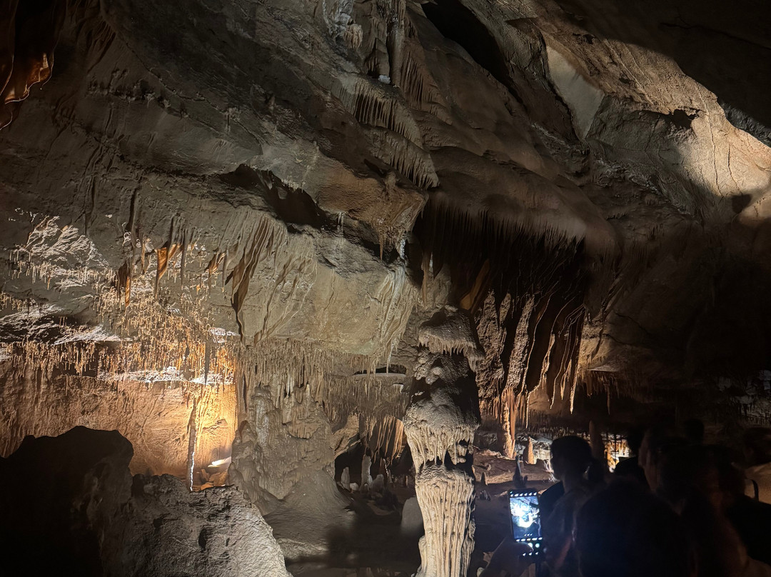 Grotte de la Cocalière-Courry必去景点