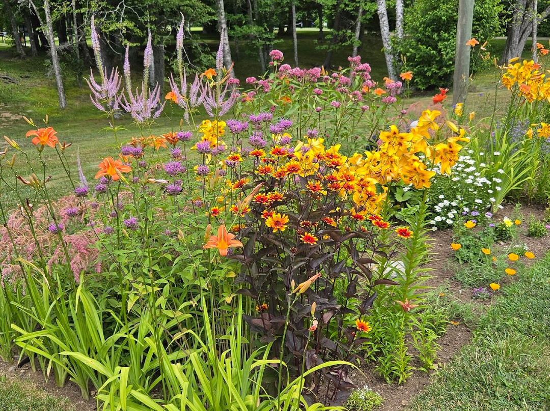 Roosevelt Campobello International Park-Campobello Island必去景点