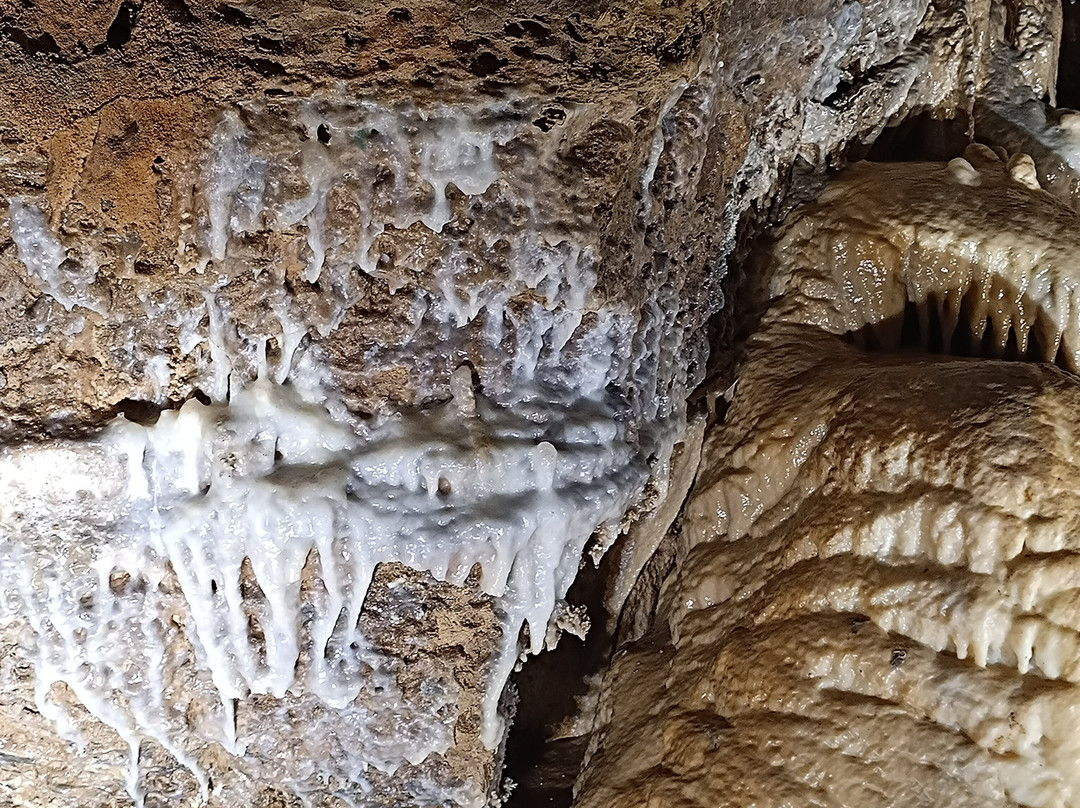 Grotte de Trabuc-Mialet必去景点