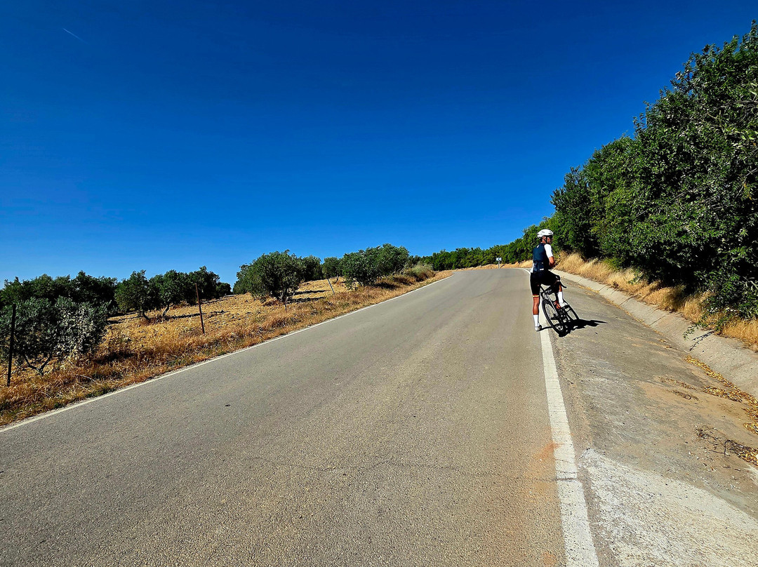 Andalucian Cycling Experience Day Trips-隆达必去景点