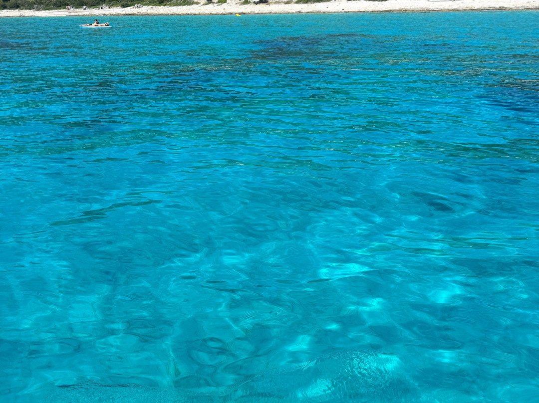 Feel Adriatic Nature Boat Tours Zadar-扎达尔必去景点