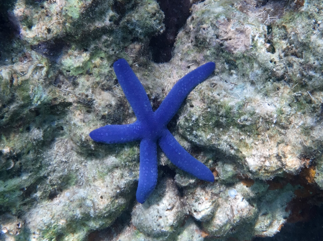 Keelooma | Linapacan Tour, Expedition and Island Stay-利纳帕坎岛必去景点