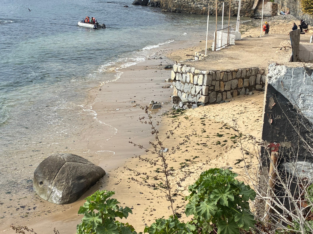 Caleta Higuerillas-比尼亚德尔马必去景点