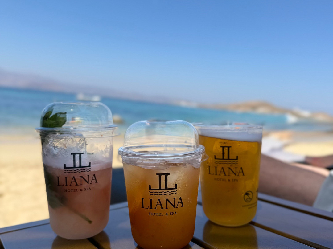 利亚纳海滩水疗酒店主图