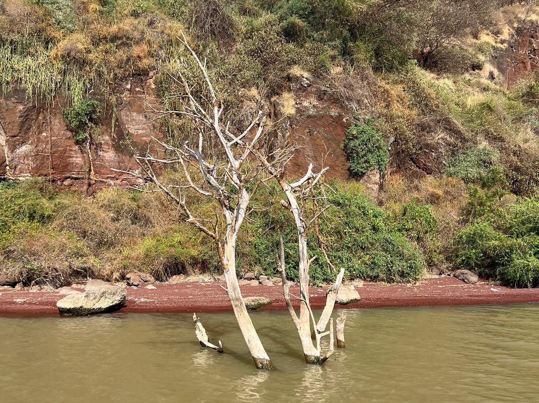 Chamo Lake-Arba Minch必去景点