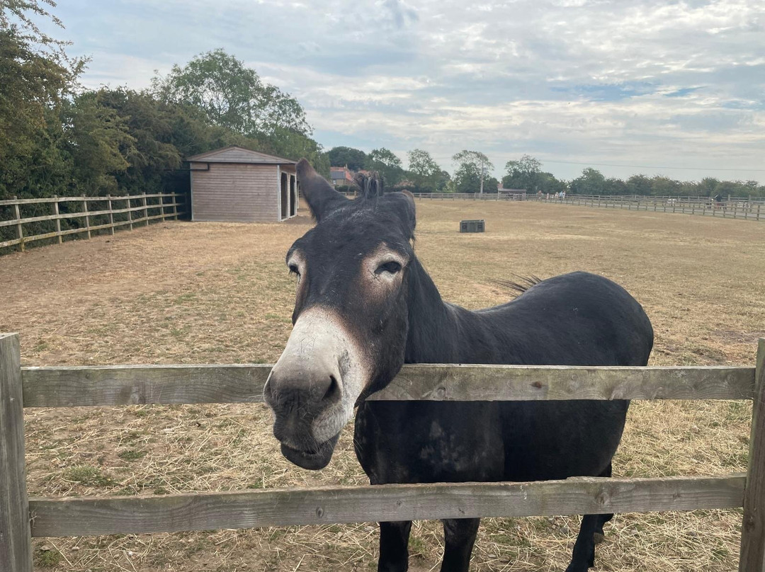 Radcliffe Donkey Sanctuary-Huttoft必去景点