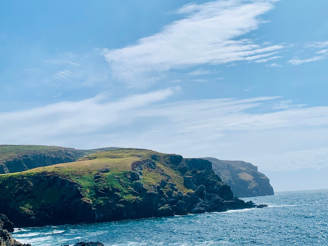 Calf of Man Bird Observatory and Nature Reserve-Douglas必去景点
