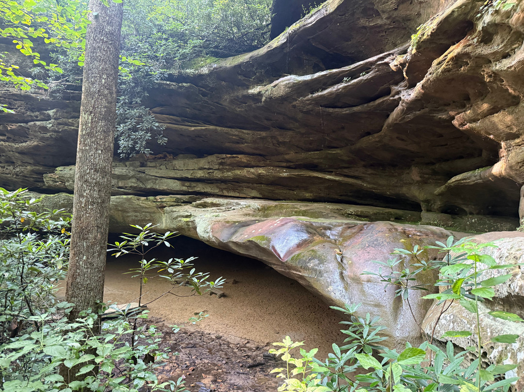Pickett CCC Memorial State Park-Jamestown必去景点