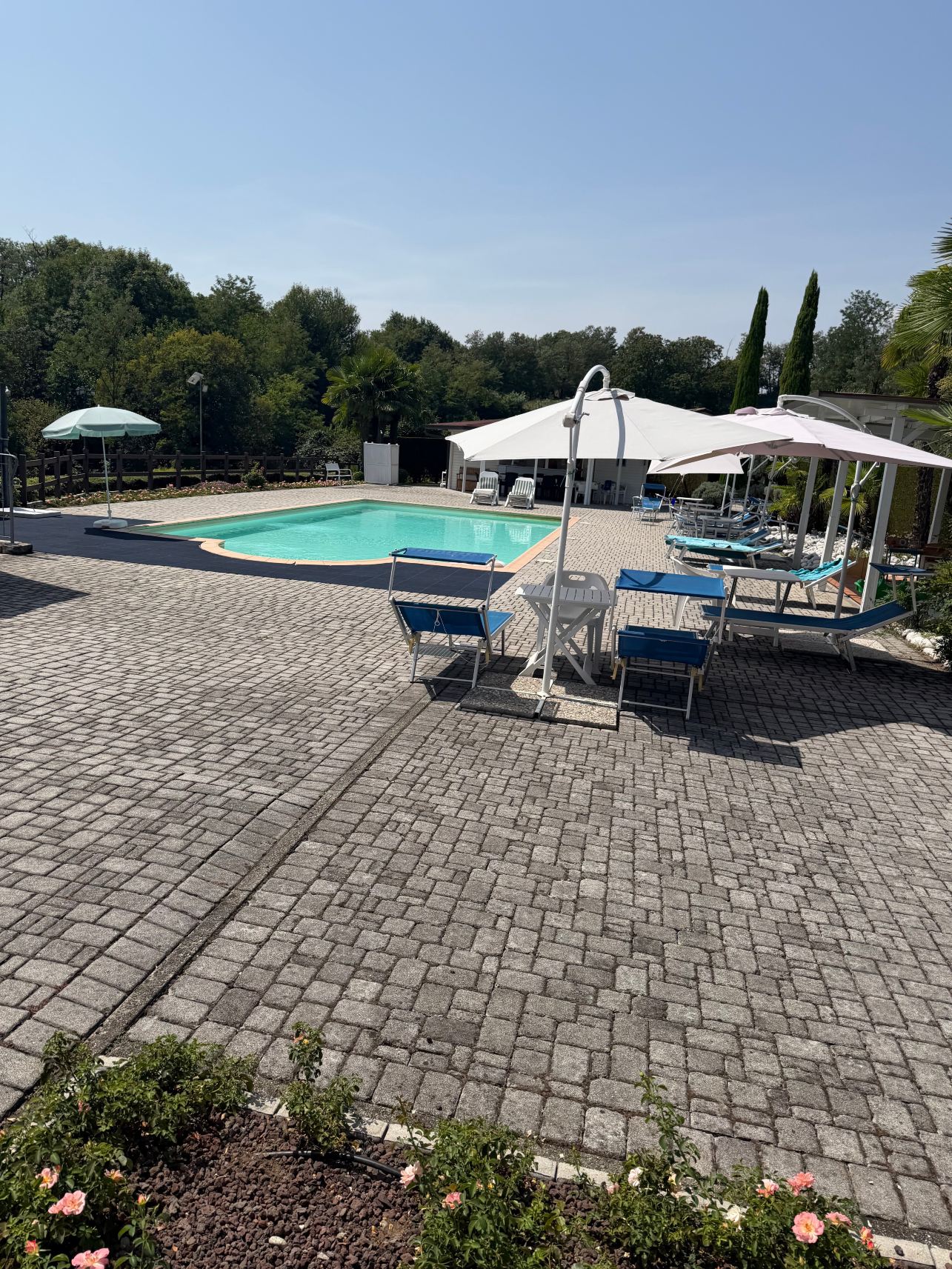 Tenuta La Vigna-旅行者