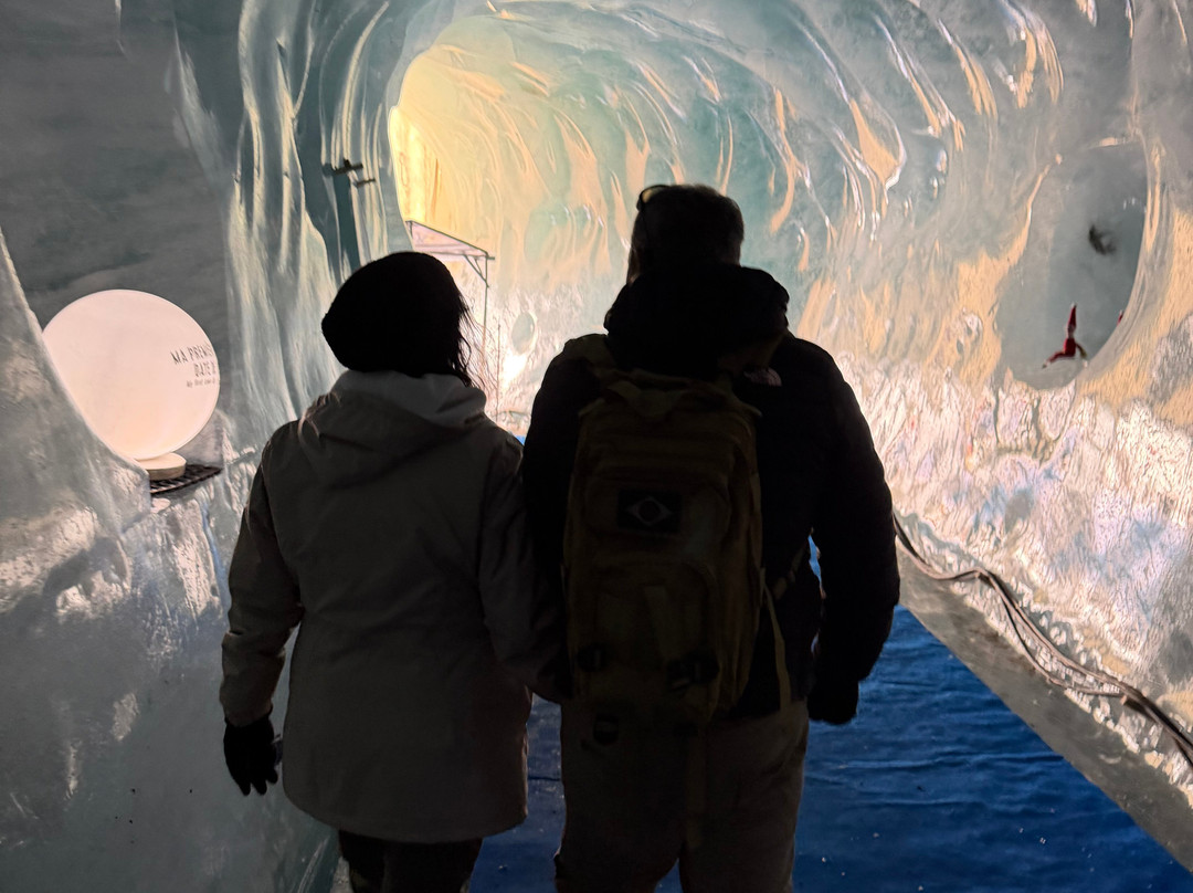 Montenvers – Mer De Glace-霞慕尼必去景点