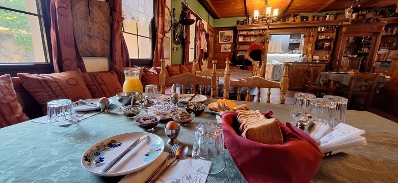 格欧尼亚提斯利纳旅馆-旅行者