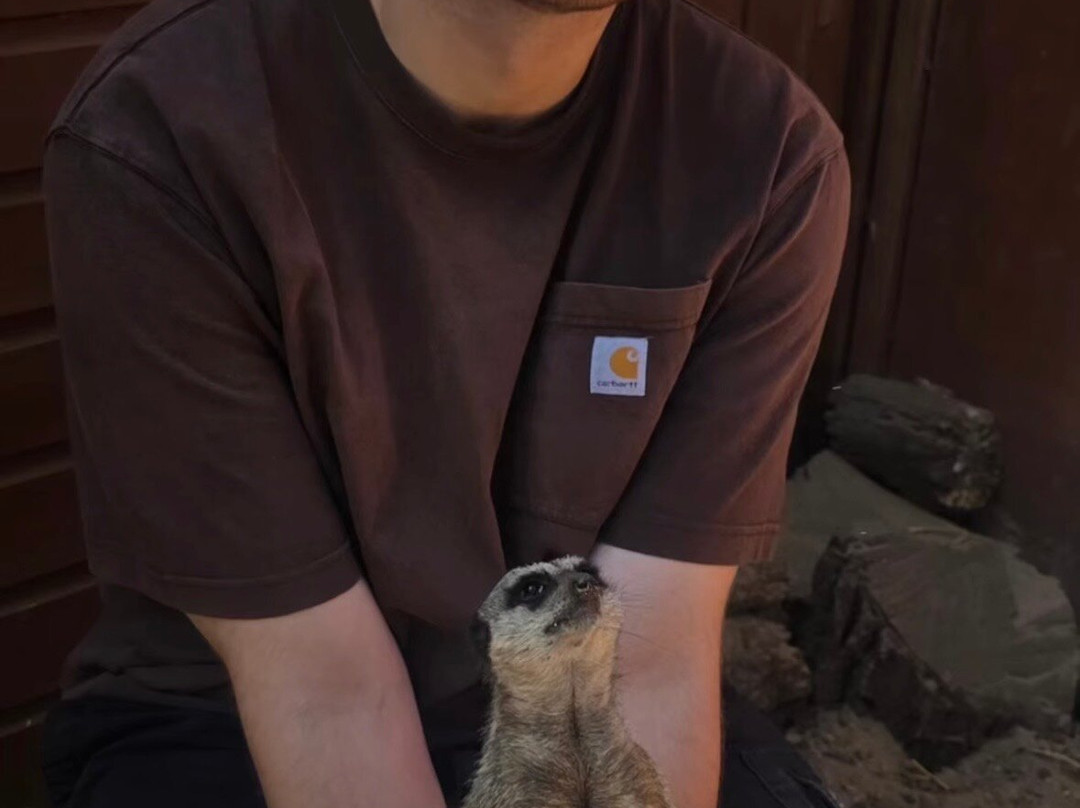 Ark Wildlife Park & Exotic Animal Sanctuary-Stickney必去景点