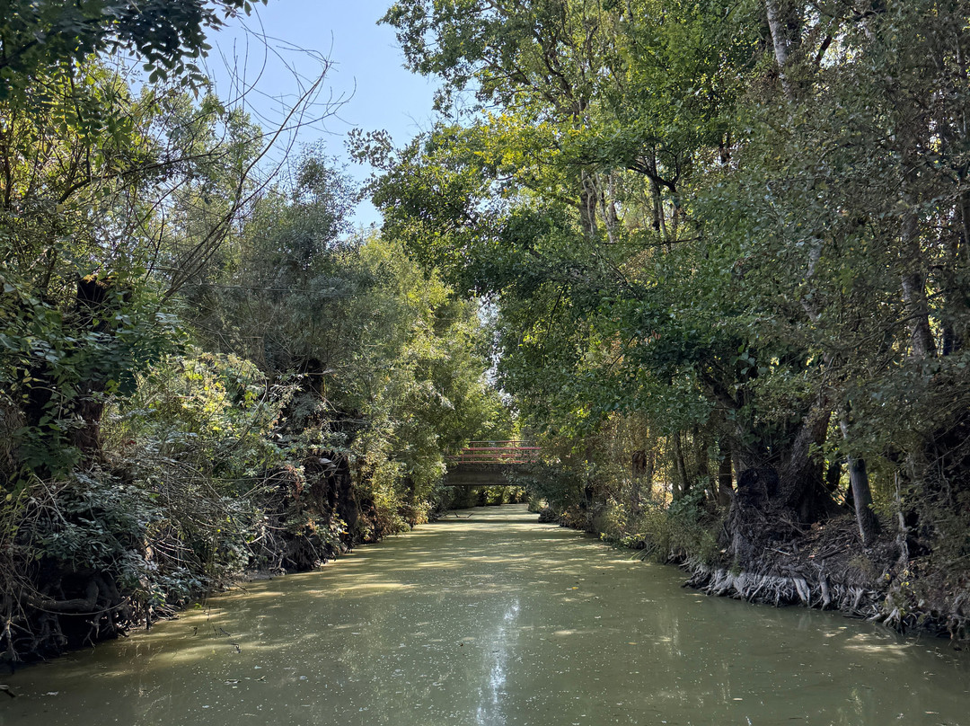 Embarcadère Port de Montfaucon-Saint-Hilaire-la-Palud必去景点